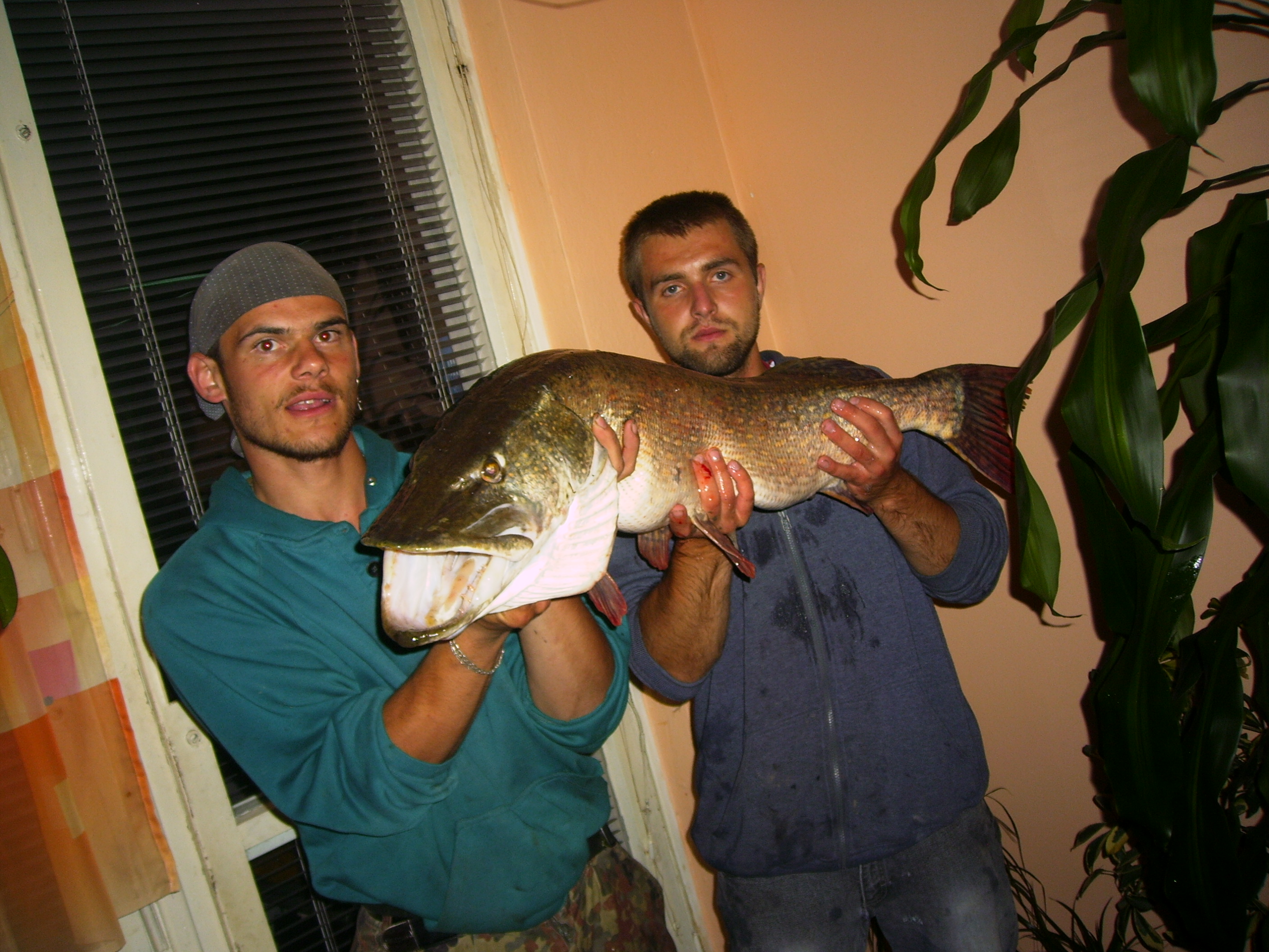 PICT0056.JPG